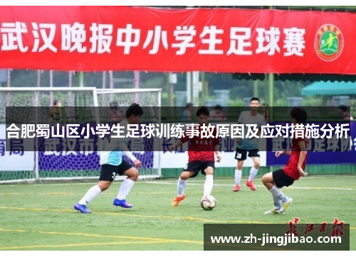合肥蜀山区小学生足球训练事故原因及应对措施分析