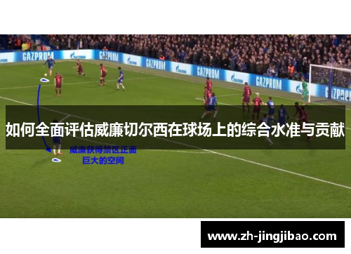 如何全面评估威廉切尔西在球场上的综合水准与贡献