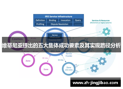维蒂尼亚提出的五大集体成功要素及其实现路径分析